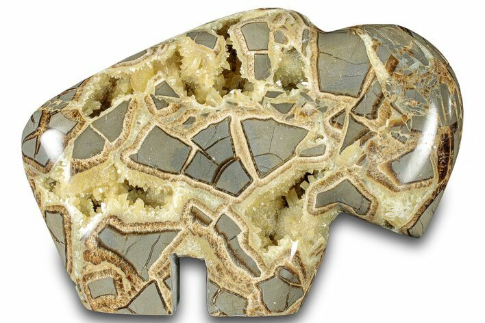 Calcite-Filled Polished Septarian Bison - Utah #301484